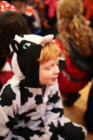 Bezoek basisscholen kindercarnaval
