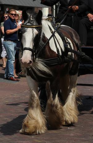 Twenterit Koets&rsquo;n Keerls Delden