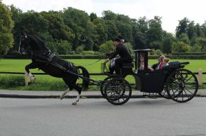 Schuttersfeesten Delden zondag 2017