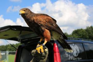 Schuttersfeesten Delden zondag 2017