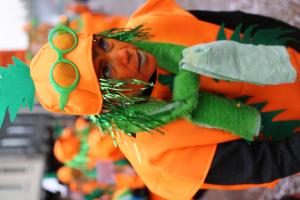 Optocht Kindercarnaval Delden 2