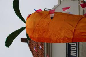 Optocht Kindercarnaval Delden 2