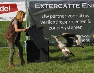 Schuttersfeesten Delden zondag 2017