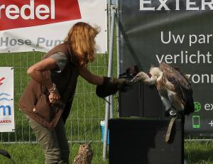 Schuttersfeesten Delden zondag 2017