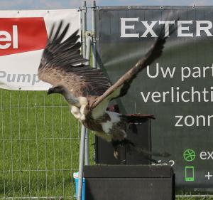 Schuttersfeesten Delden zondag 2017