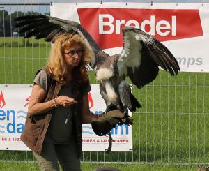 Schuttersfeesten Delden zondag 2017