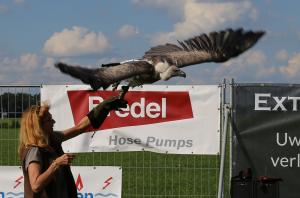 Schuttersfeesten Delden zondag 2017