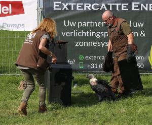 Schuttersfeesten Delden zondag 2017