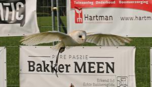 Schuttersfeesten Delden zondag 2017