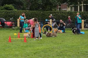 Family Fair Delden 2017