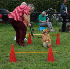 Family Fair Delden 2017
