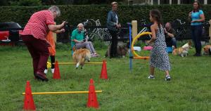 Family Fair Delden 2017