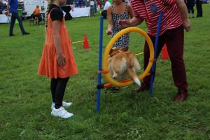 Family Fair Delden 2017