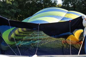 Beautiful Ballooning Delden