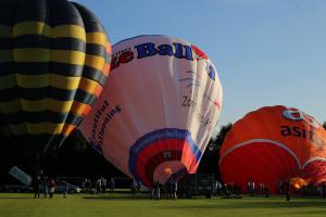 Beautiful Ballooning Delden