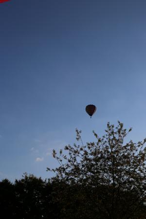 Beautiful Ballooning Delden