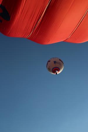 Beautiful Ballooning Delden