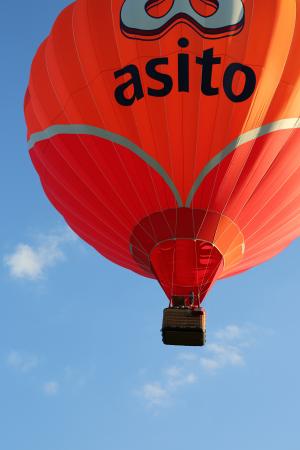 Beautiful Ballooning Delden