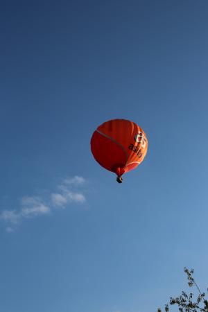 Beautiful Ballooning Delden