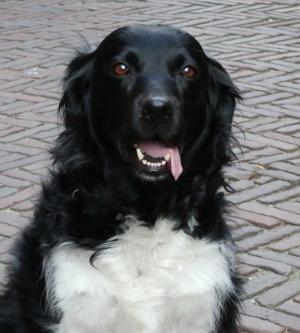 Hemelvaartsdag Delden 2018