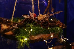 Foto's Kerstmarkt Delden 2017