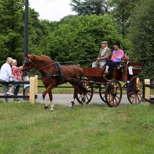 Twenterit Koets&rsquo;n Keerls Delden