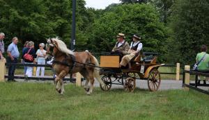 Twenterit Koets&rsquo;n Keerls Delden