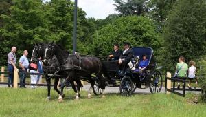 Twenterit Koets&rsquo;n Keerls Delden