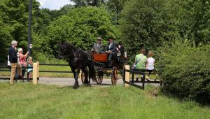 Twenterit Koets&rsquo;n Keerls Delden