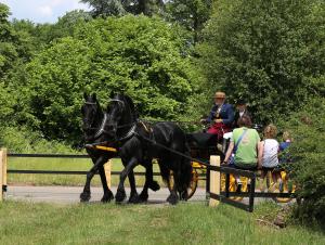 Twenterit Koets&rsquo;n Keerls Delden