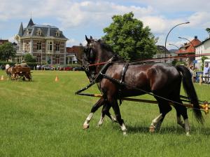 Twenterit Koets&rsquo;n Keerls Delden