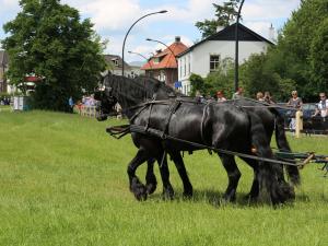 Twenterit Koets&rsquo;n Keerls Delden