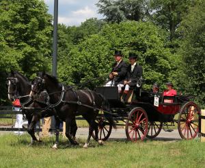 Twenterit Koets&rsquo;n Keerls Delden