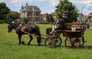 Twenterit Koets&rsquo;n Keerls Delden