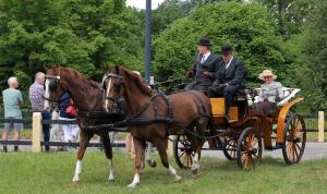 Twenterit Koets&rsquo;n Keerls Delden