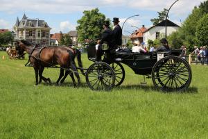 Twenterit Koets&rsquo;n Keerls Delden