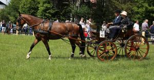Twenterit Koets&rsquo;n Keerls Delden
