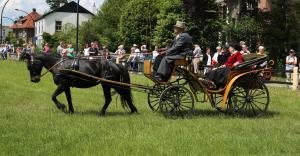 Twenterit Koets&rsquo;n Keerls Delden