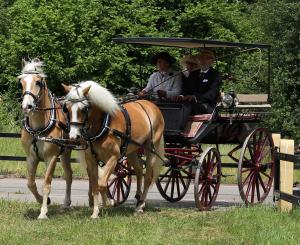 Twenterit Koets&rsquo;n Keerls Delden