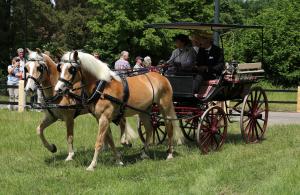 Twenterit Koets&rsquo;n Keerls Delden
