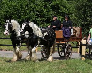 Twenterit Koets&rsquo;n Keerls Delden
