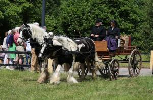 Twenterit Koets&rsquo;n Keerls Delden