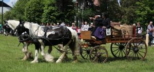 Twenterit Koets&rsquo;n Keerls Delden