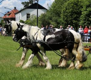 Twenterit Koets&rsquo;n Keerls Delden