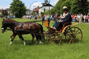 Twenterit Koets&rsquo;n Keerls Delden