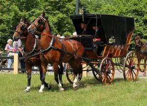 Twenterit Koets&rsquo;n Keerls Delden