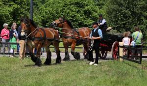 Twenterit Koets&rsquo;n Keerls Delden
