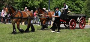 Twenterit Koets&rsquo;n Keerls Delden