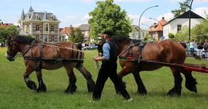 Twenterit Koets&rsquo;n Keerls Delden