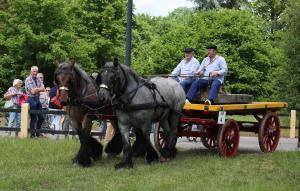 Twenterit Koets&rsquo;n Keerls Delden